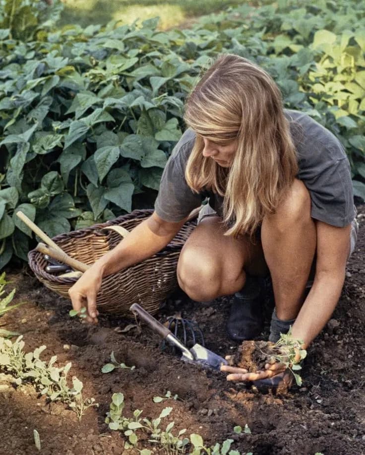 Planting